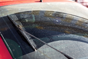 How a Dirty Windshield Increases the Risk of a Collision on Minnesota Roads